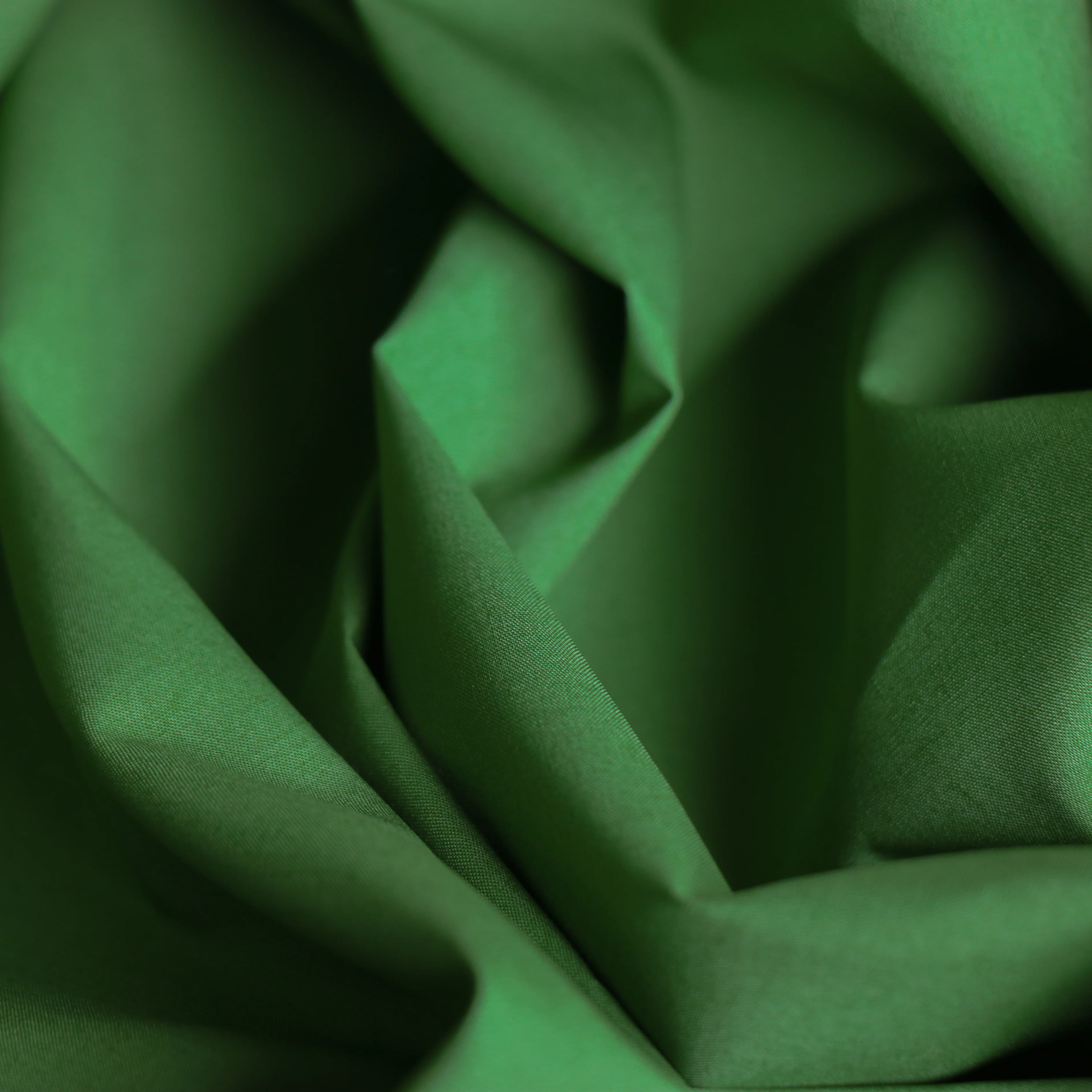 Adele Apple Poplin - Image 2