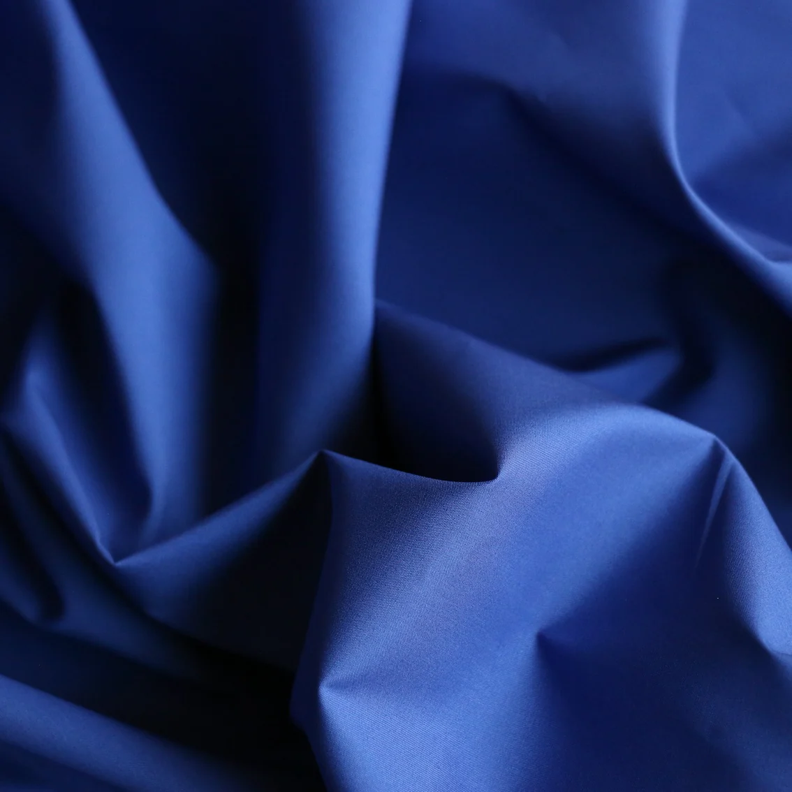 Adele Iris Cotton Poplin - Image 2