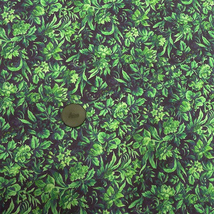 Alice Ginevra Green - Image 3