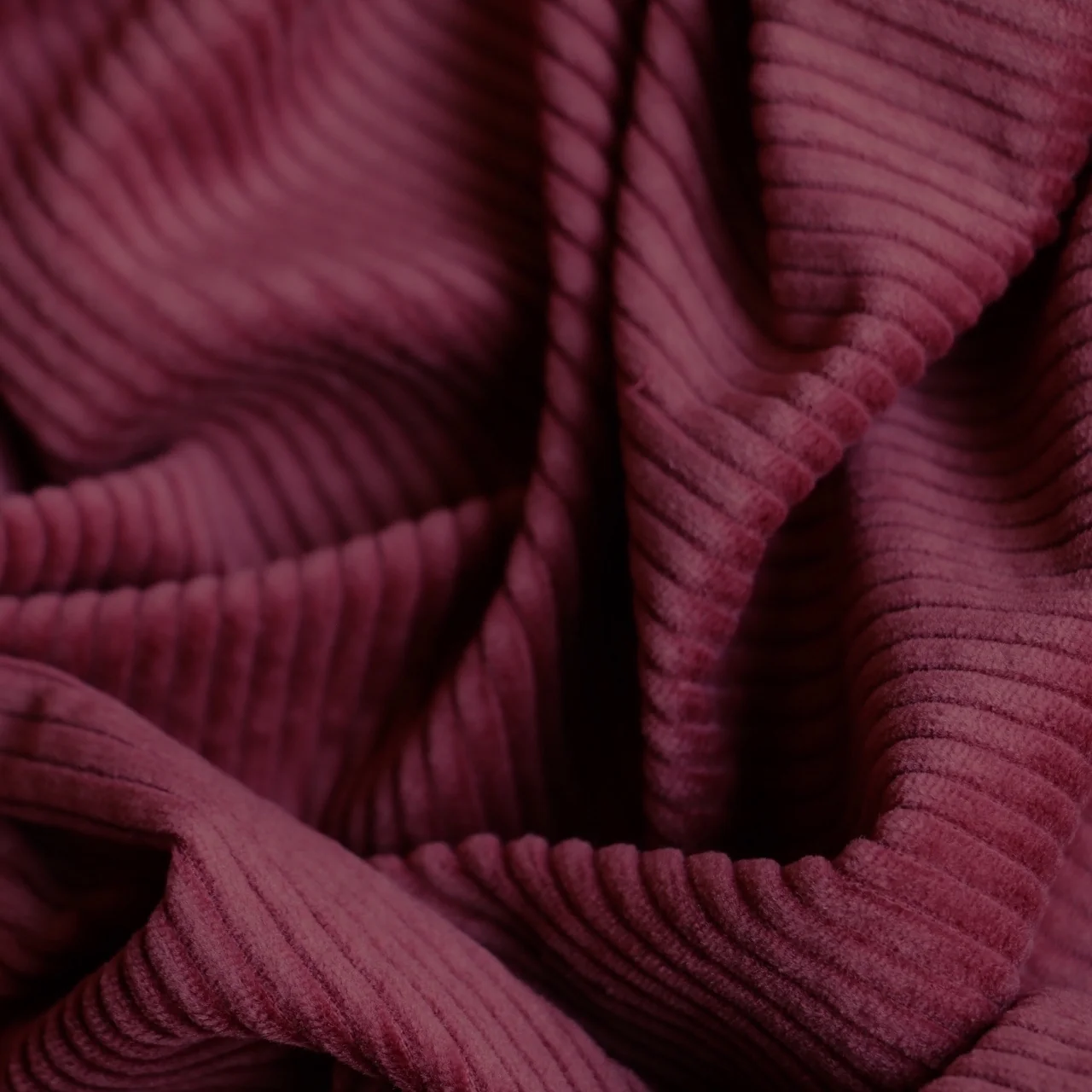Alto Berry - Jumbo Corduroy - Image 2
