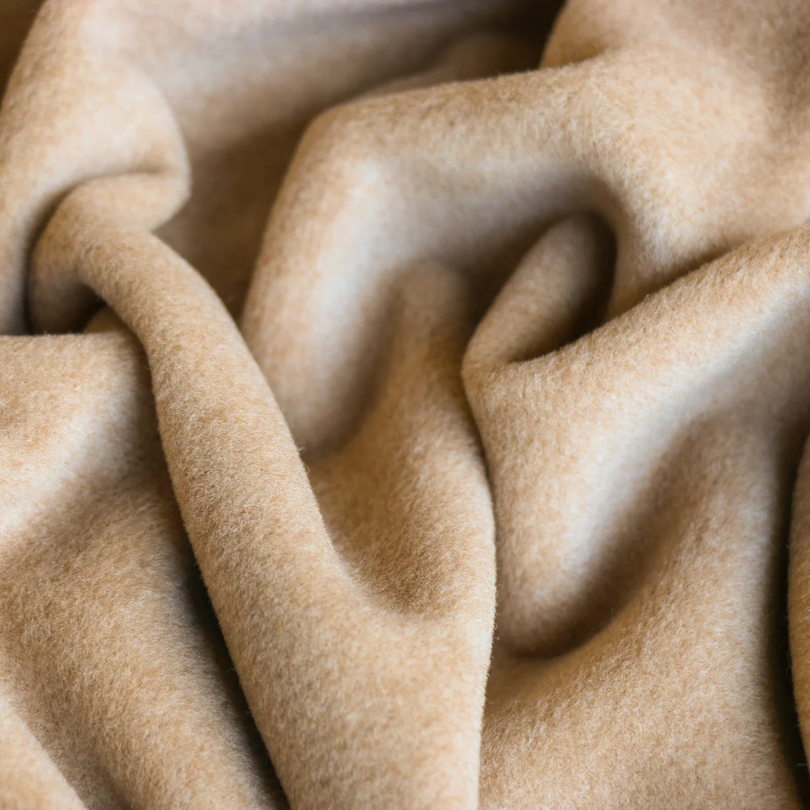 Amaretto - Camel Coating - Image 2