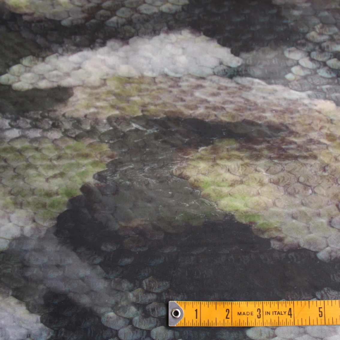 Anaconda - Image 3