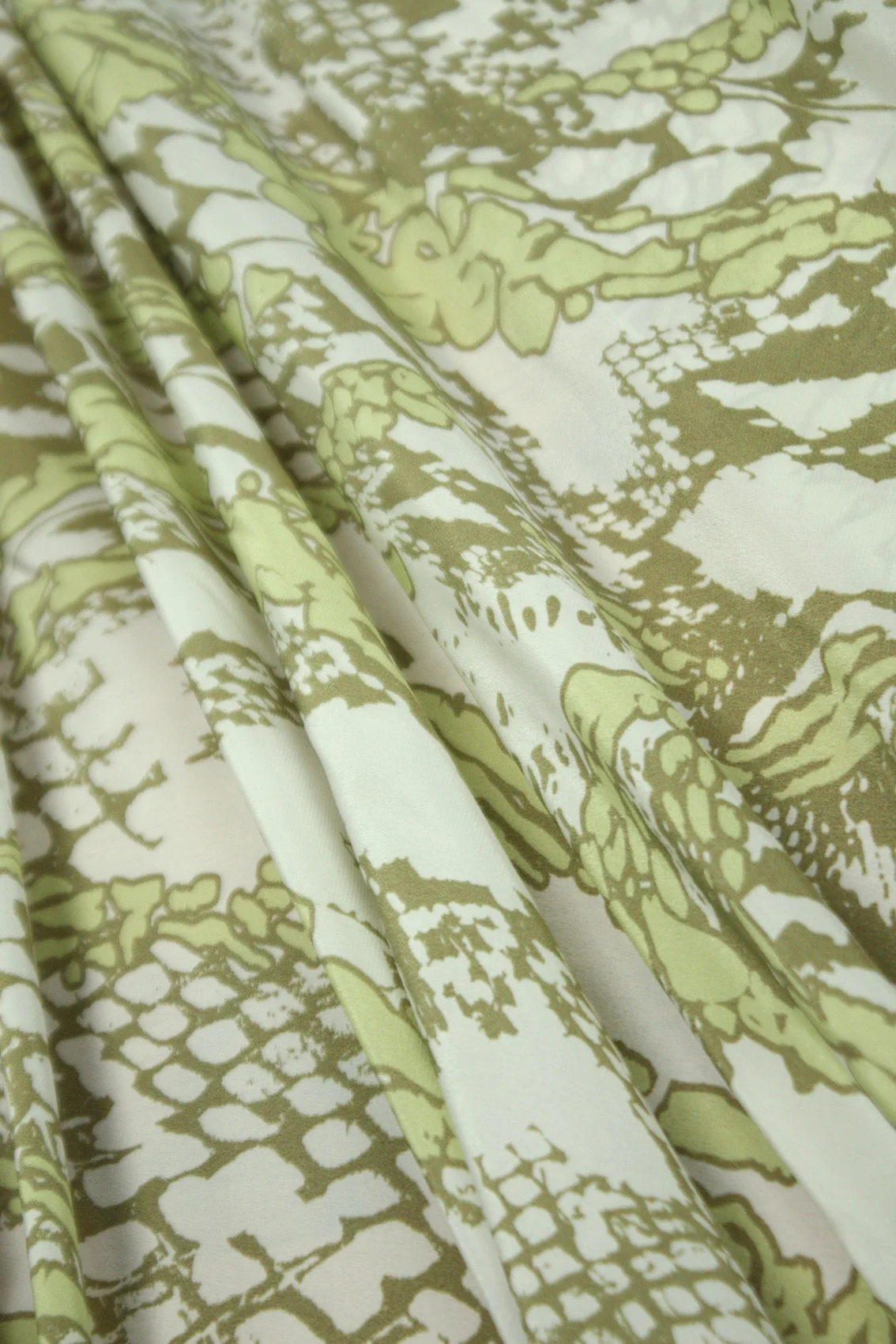 Animal Tropics - Image 4