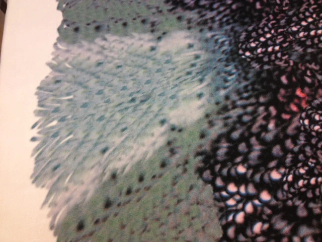 As It Began - Image 5
