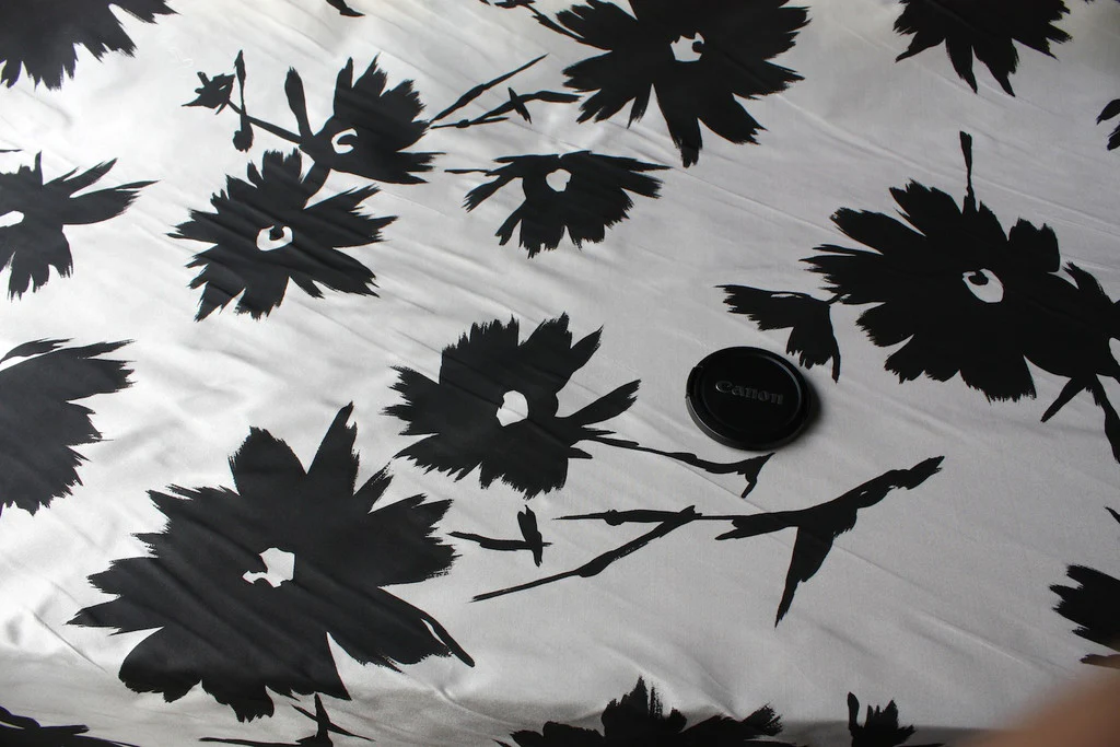 Autumn Winds - Image 2