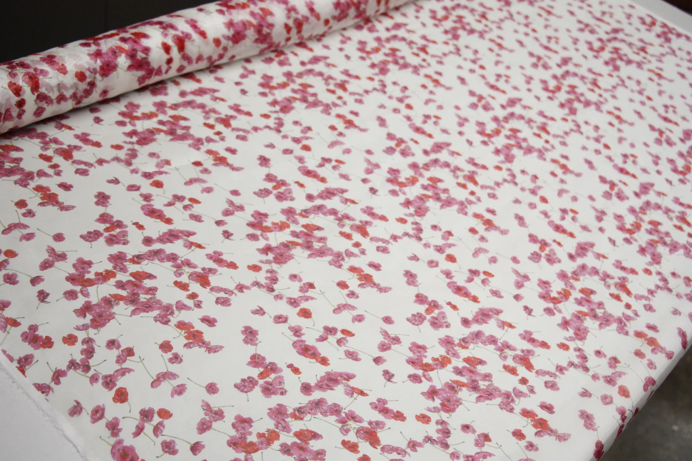 Beautiful Little Pinkies - Image 5
