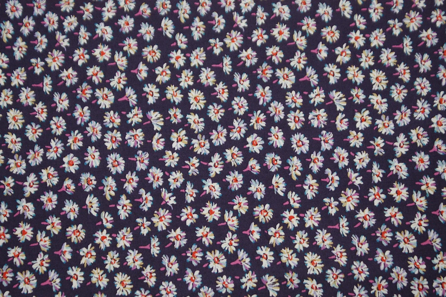 Bellis - Image 2