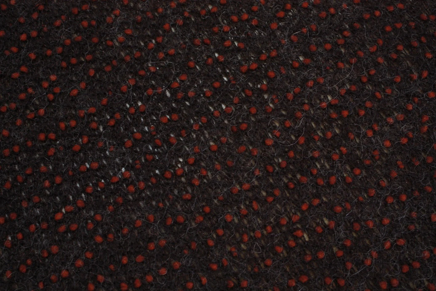 Berries On The Move - Image 2
