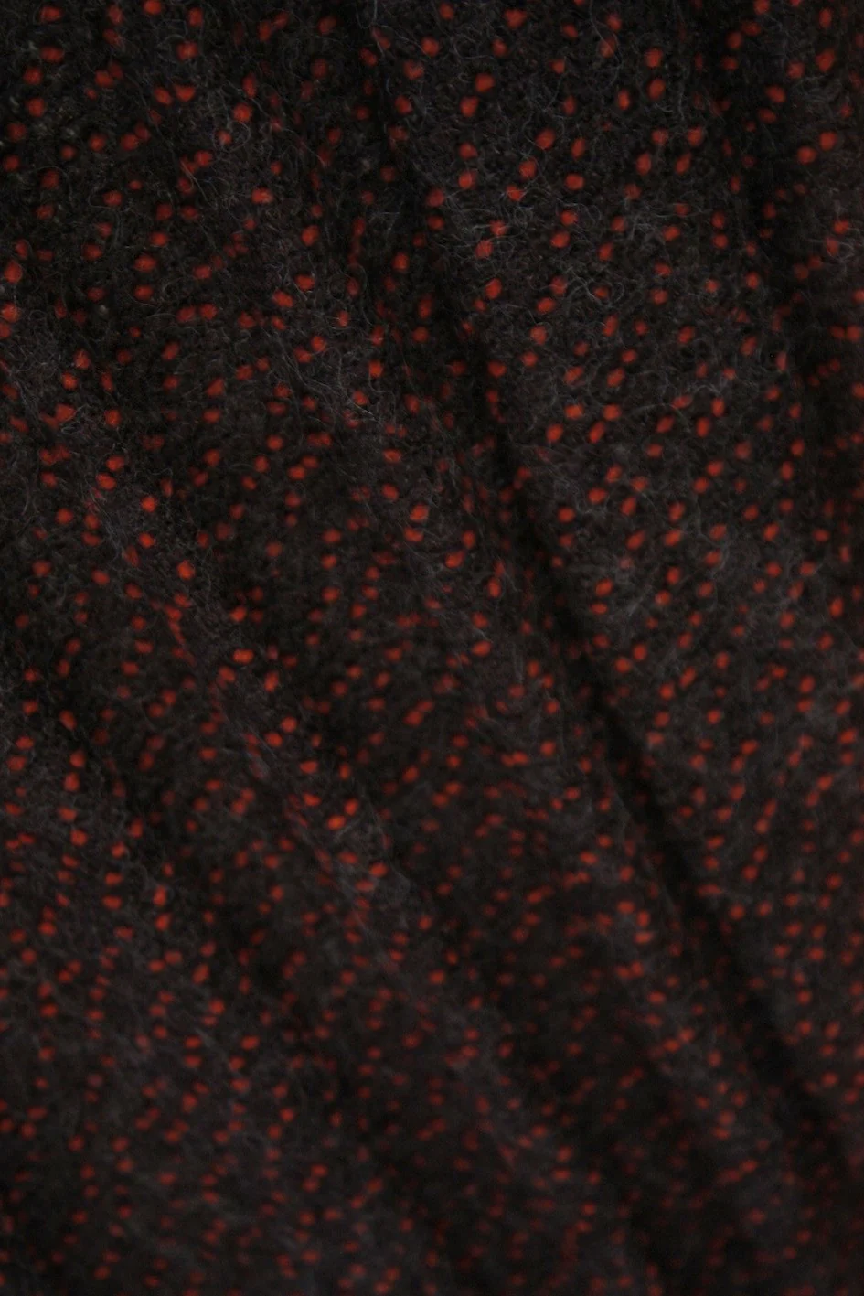 Berries On The Move - Image 4
