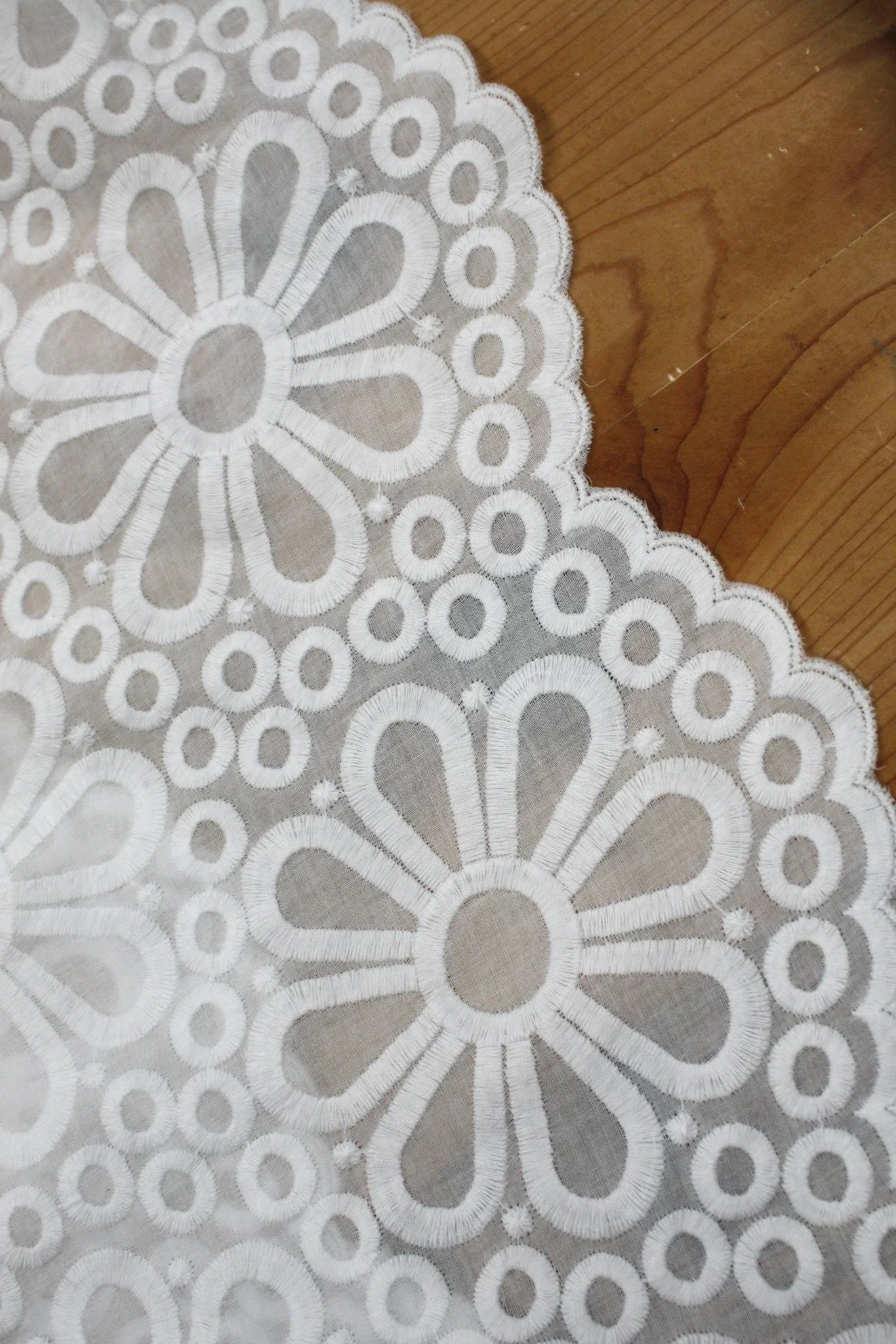 Big White Daisy - Image 2