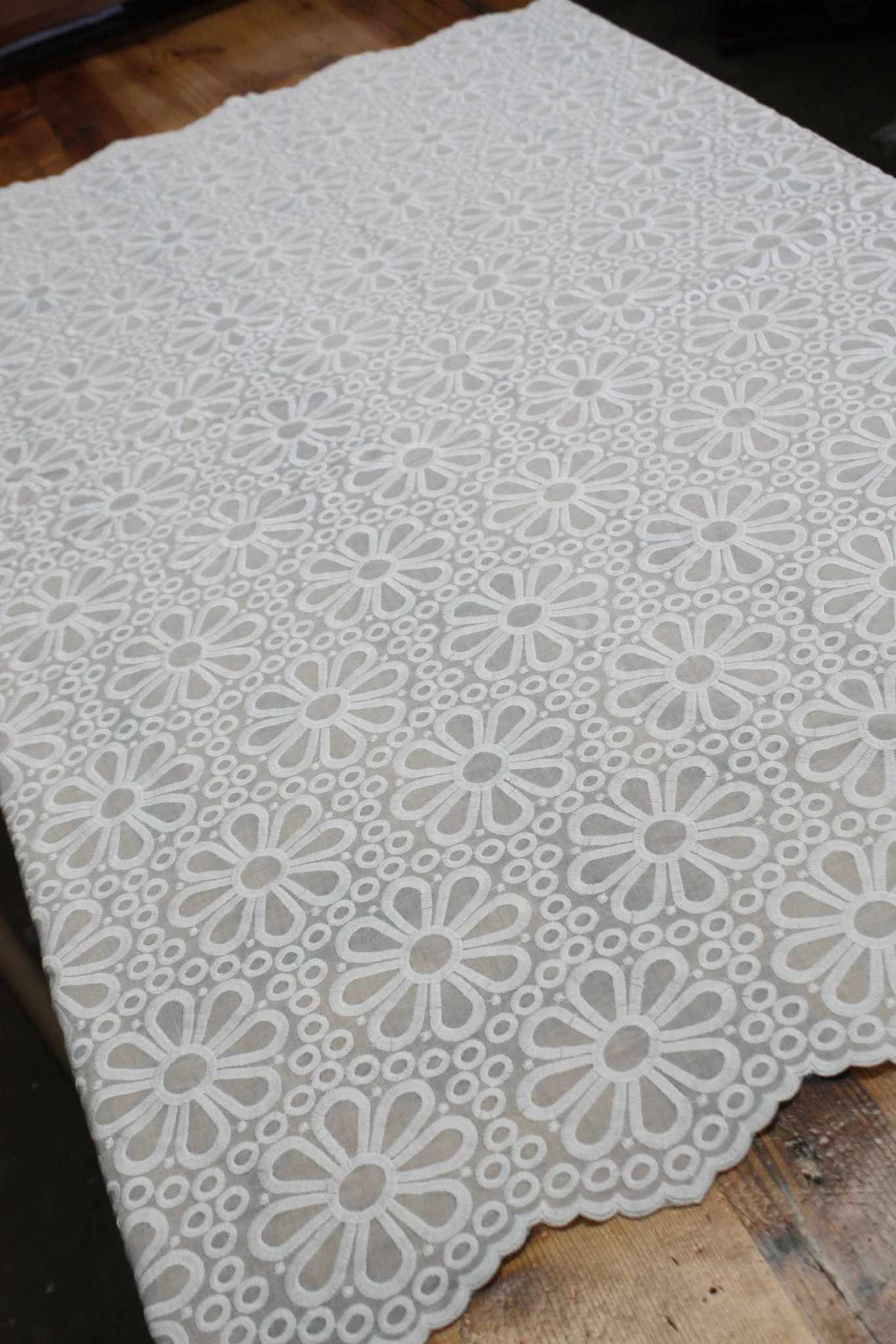 Big White Daisy - Image 3
