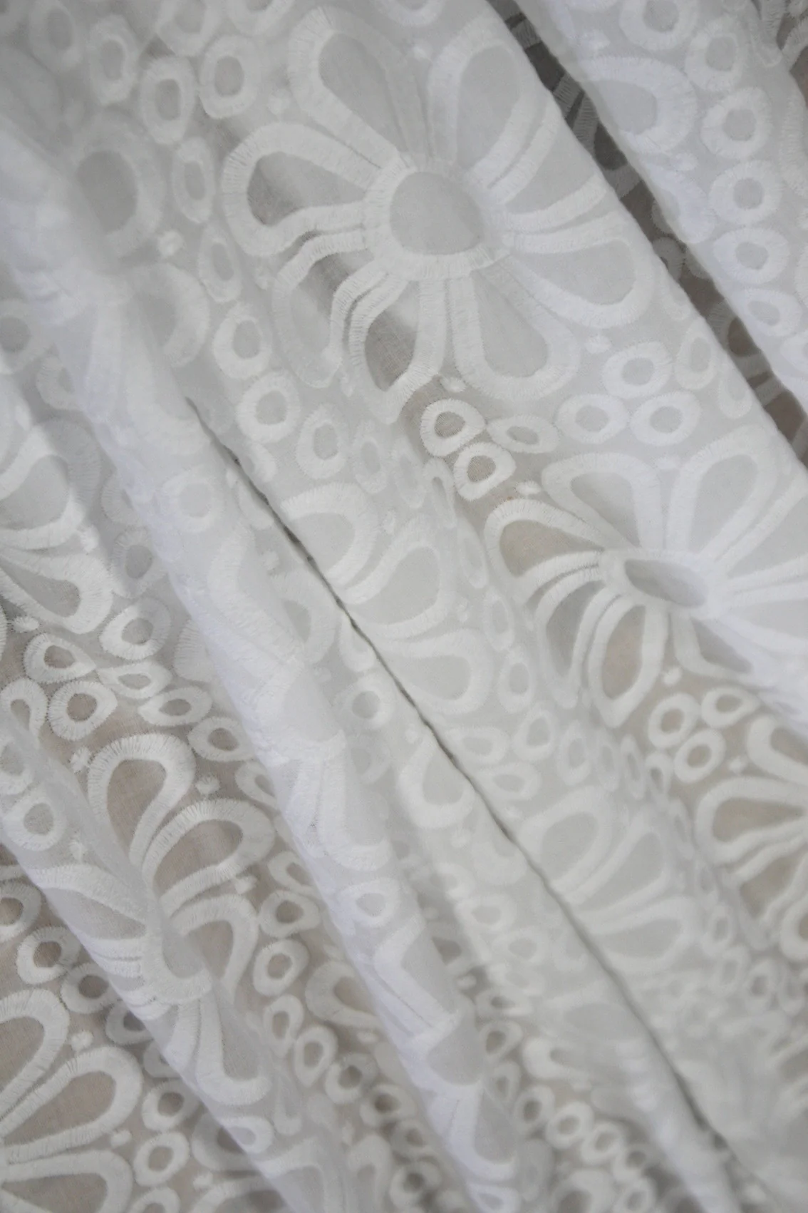 Big White Daisy - Image 4