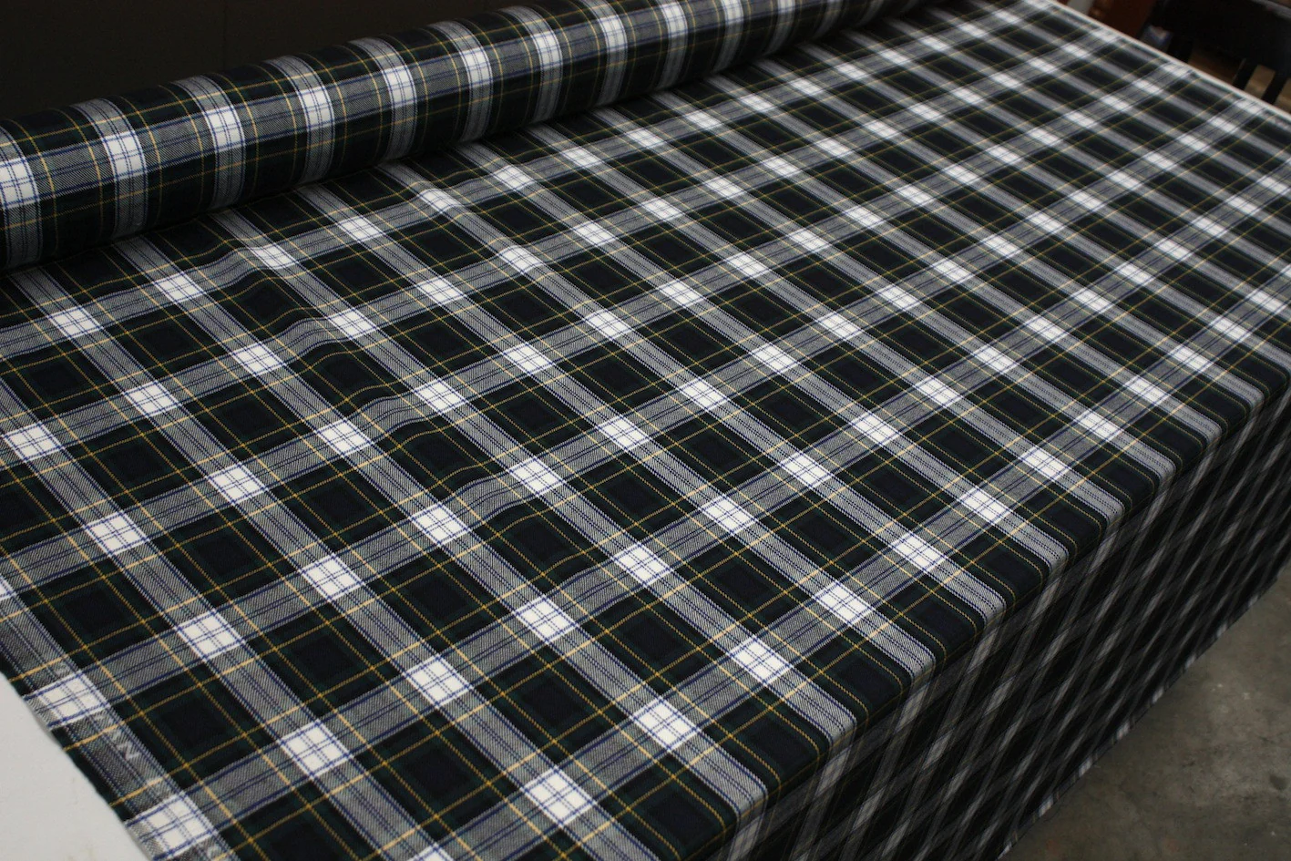 Bigatto Tartan - Image 4