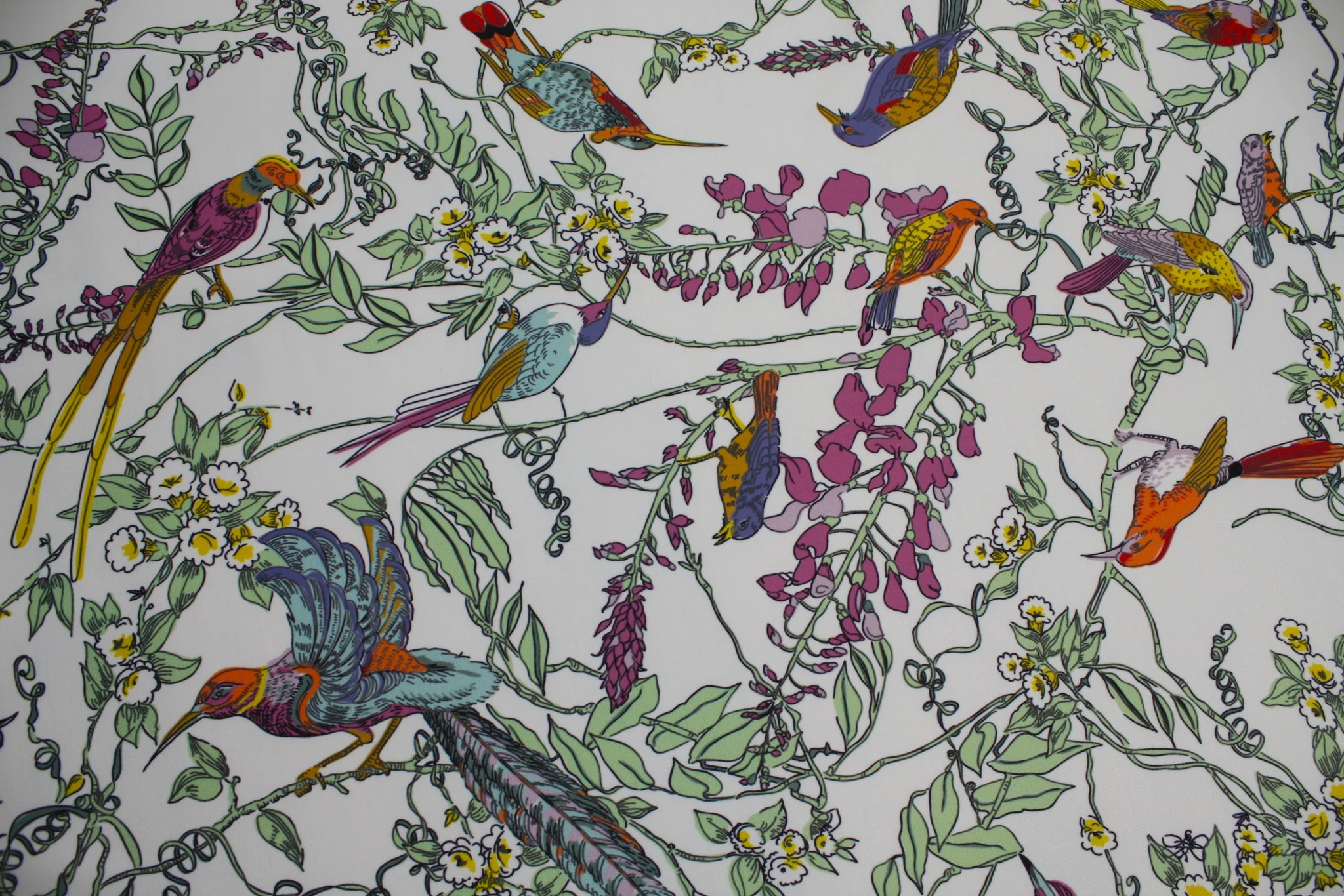 Bird Watchers Delight - Swimwear Fabric - Image 2