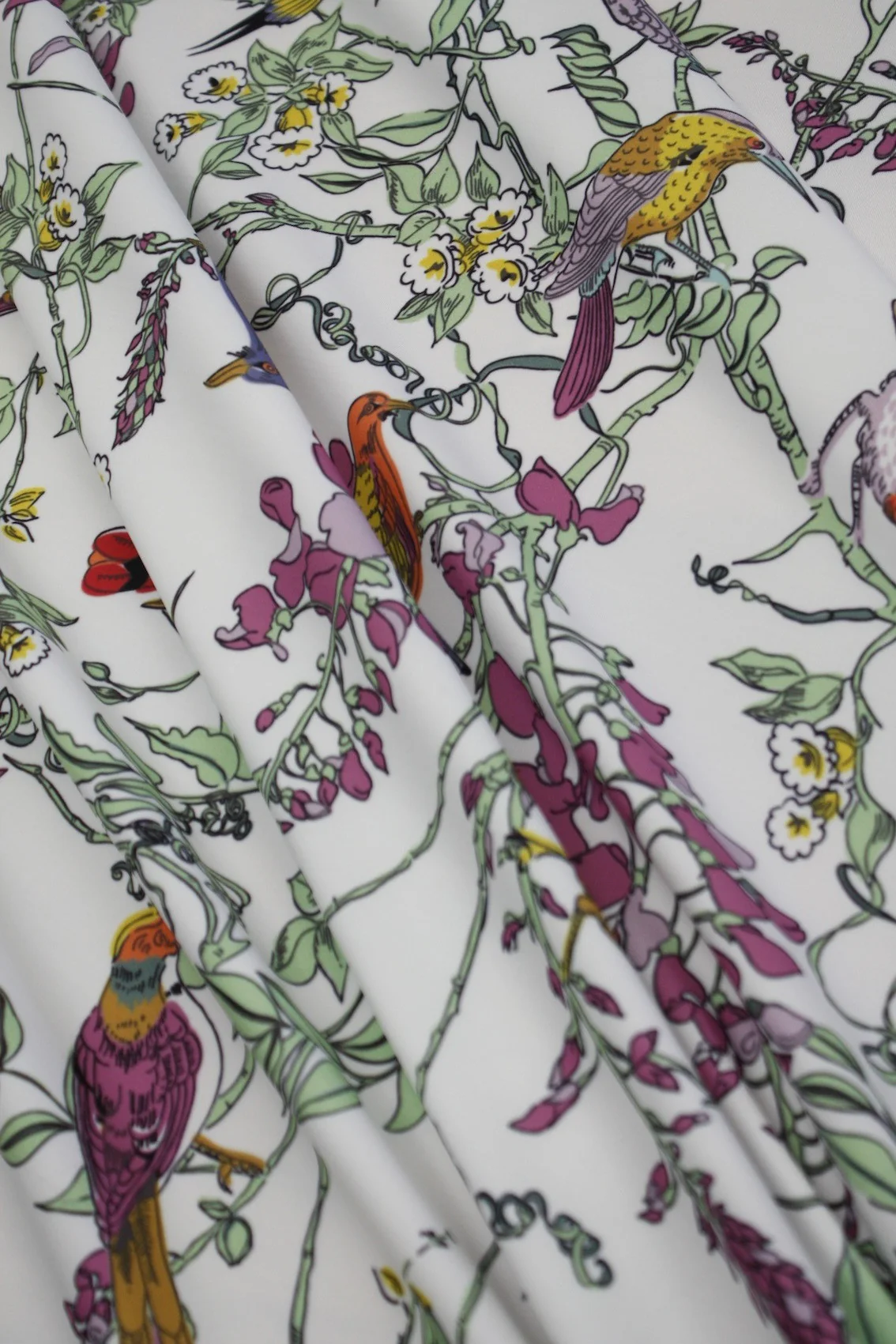 Bird Watchers Delight - Swimwear Fabric - Image 3