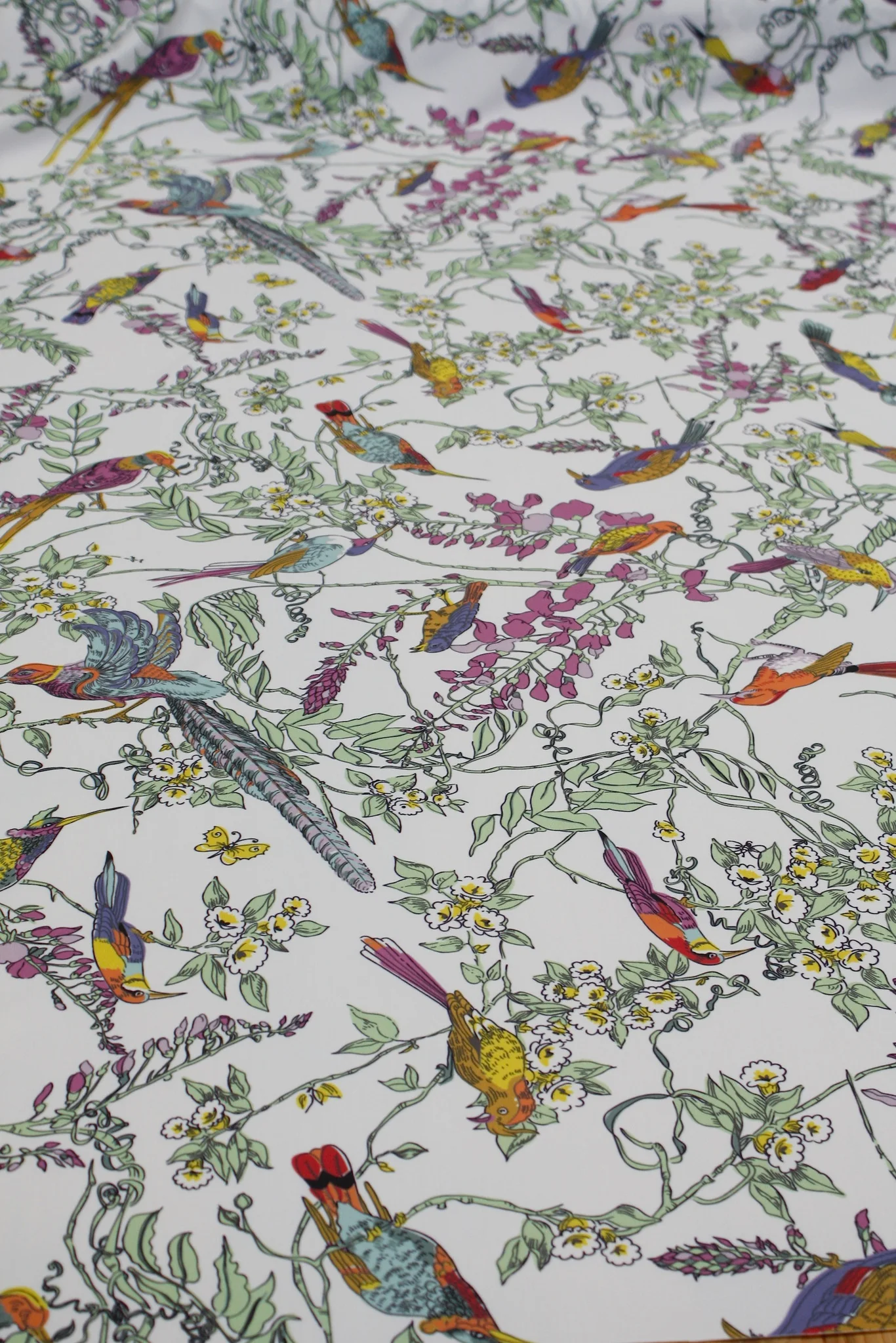Bird Watchers Delight - Swimwear Fabric - Image 4
