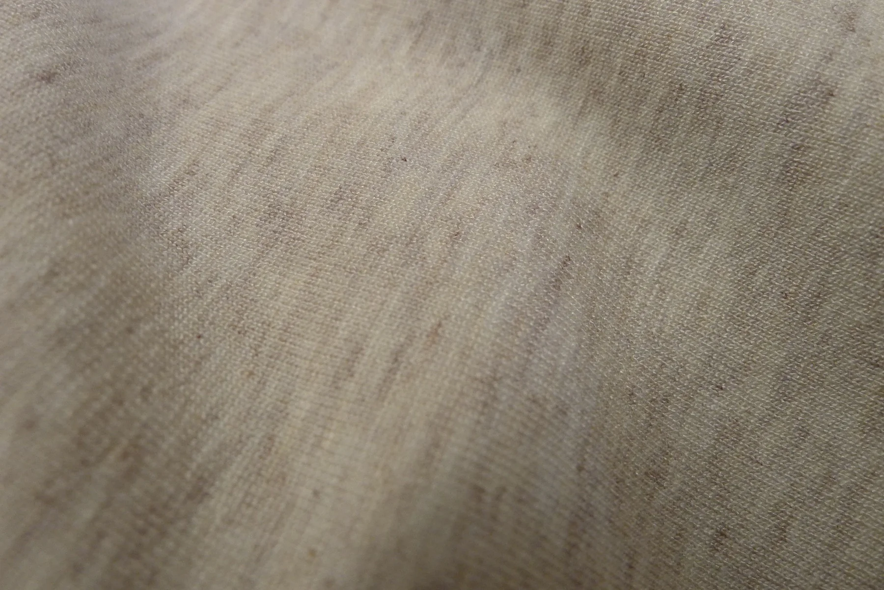 Biscotti Jersey - Image 3