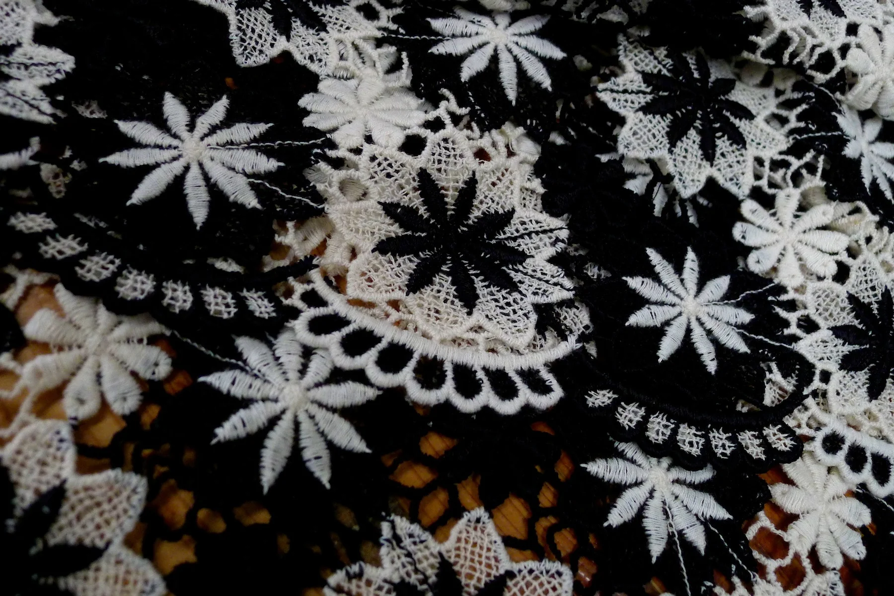 Black and White Show - Image 4