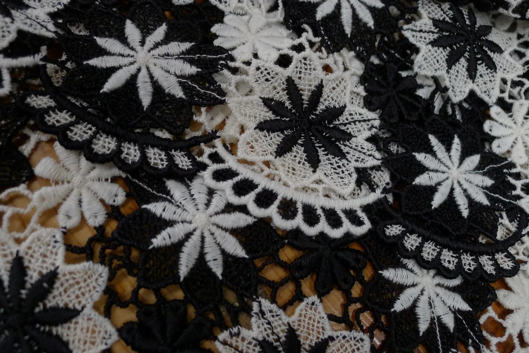 Black and White Show - Image 9