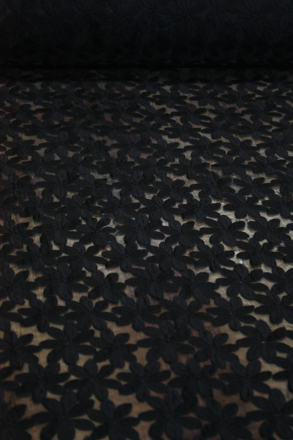 Black Daisy - Image 3