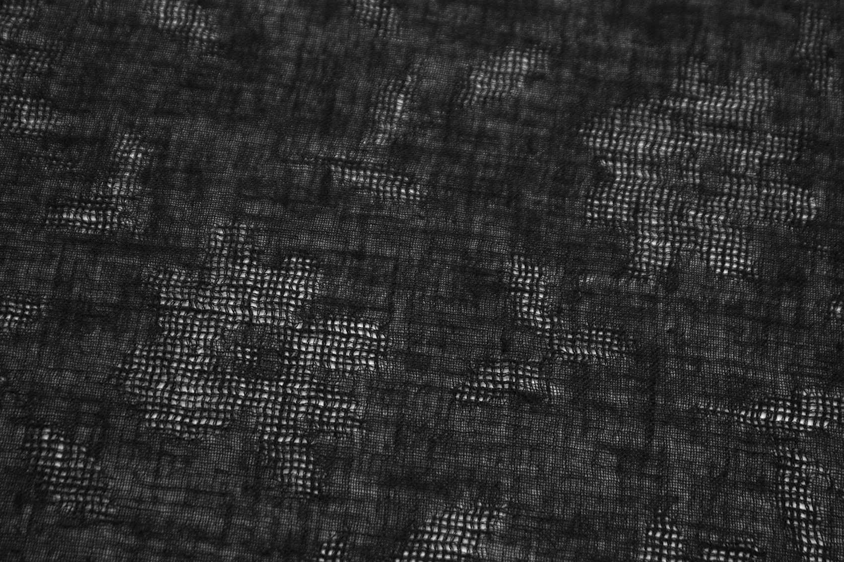 Black Field Day - Image 3