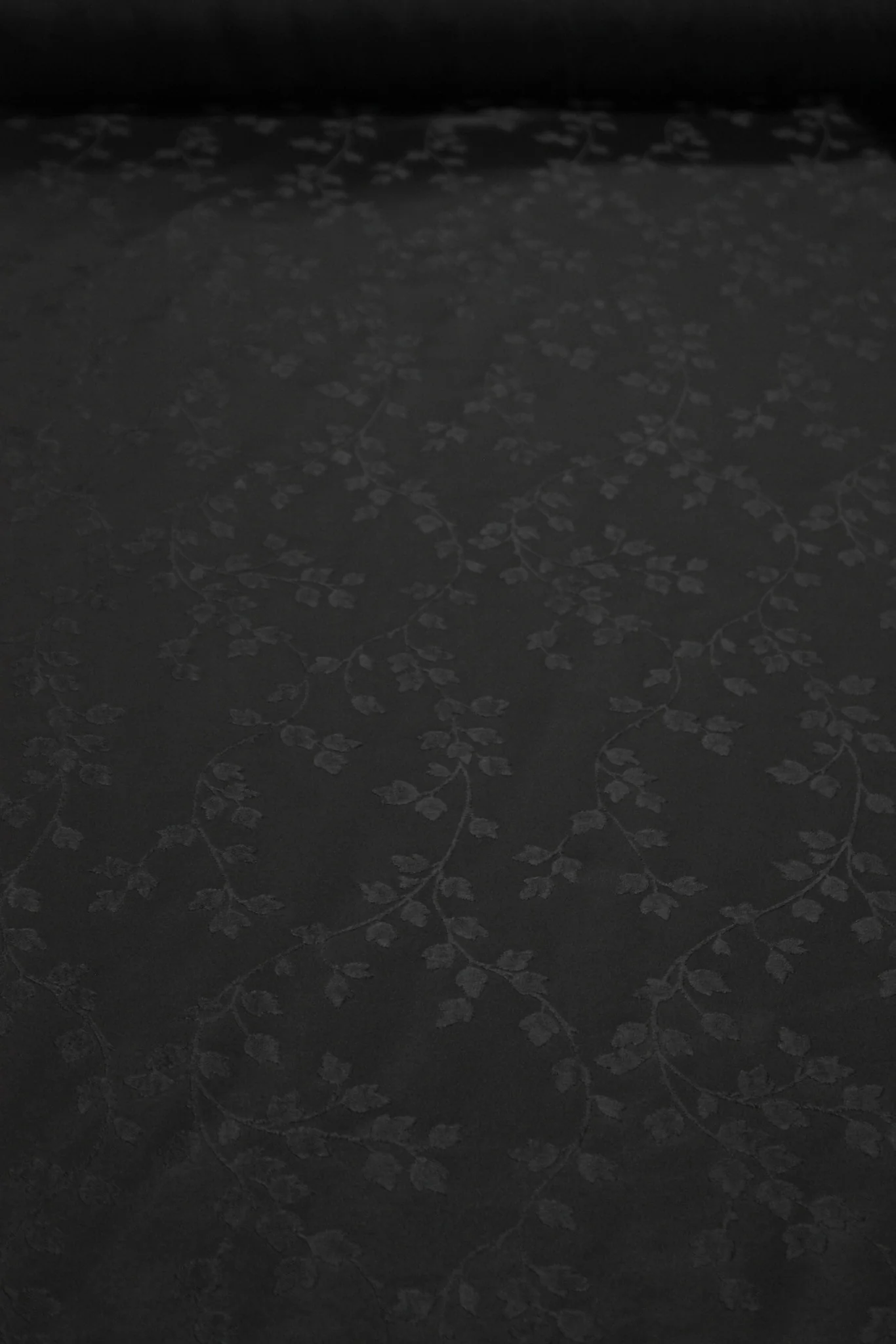 Black Ivy - Image 3