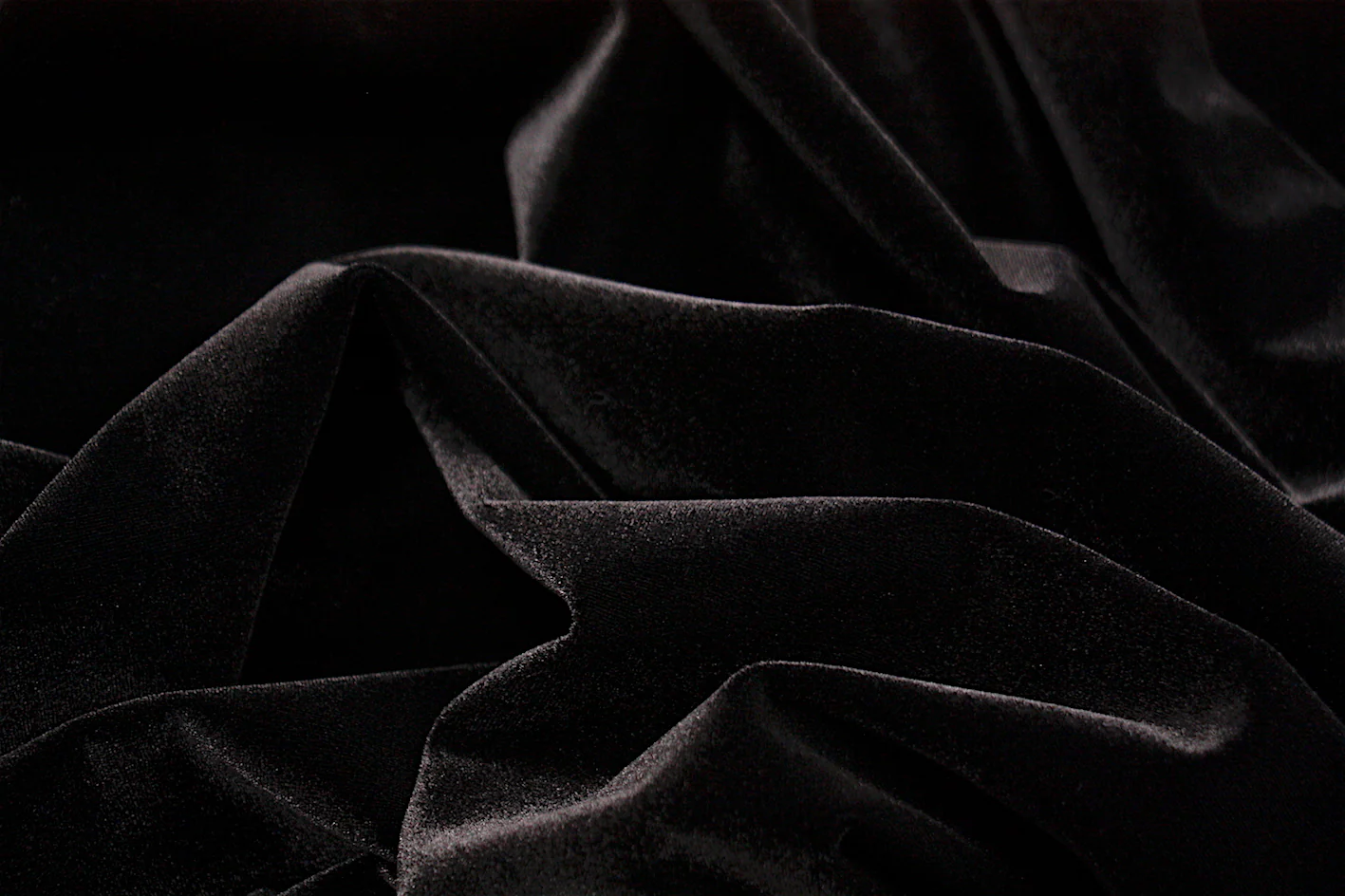 Black Night Owl - Stretch Velvet - Image 2