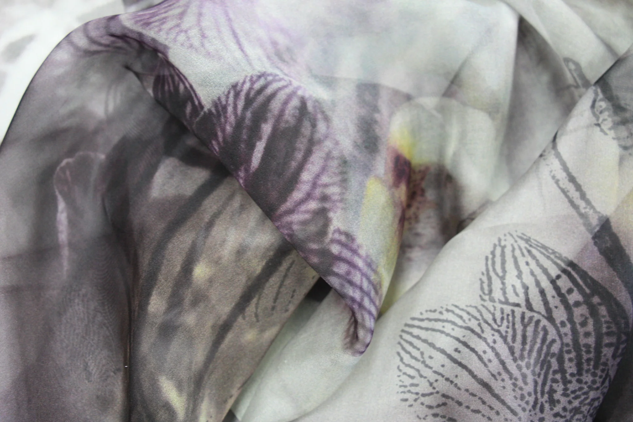 Black Orchid - Image 2