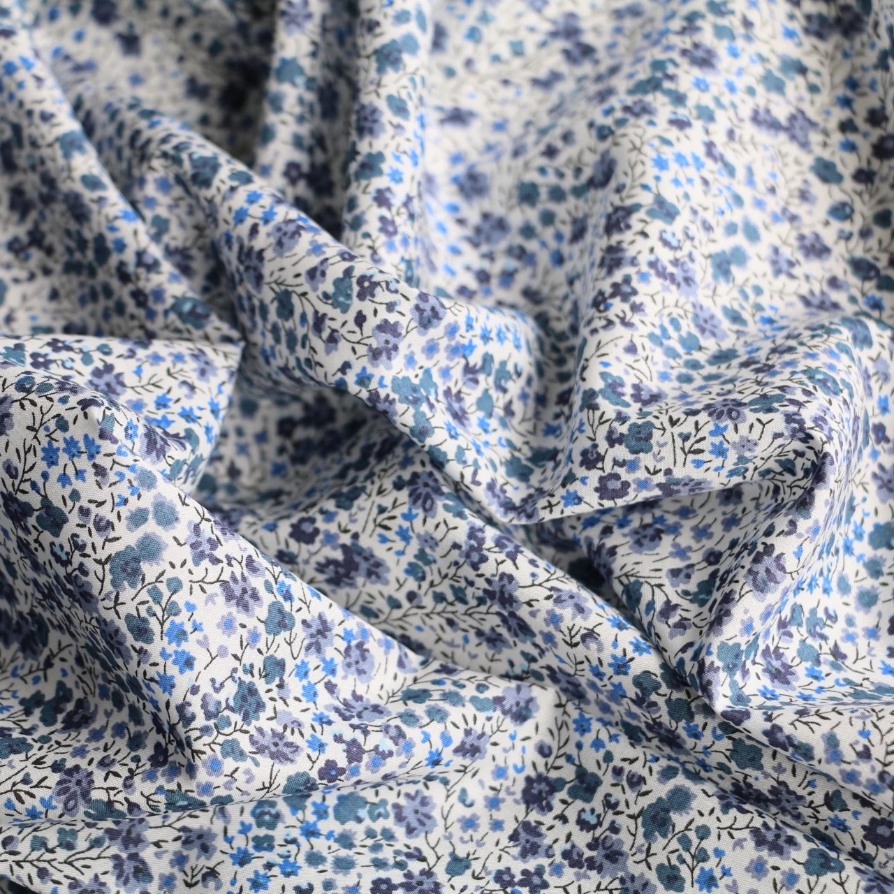 Blu Fields - Image 2