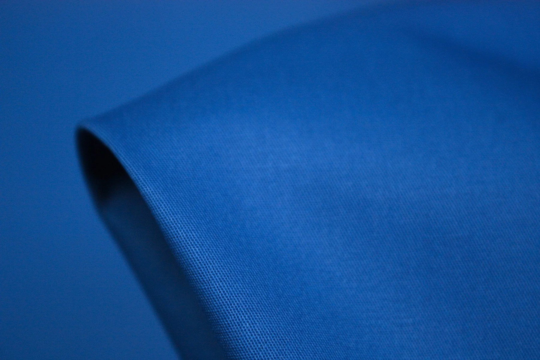 Blue Otter