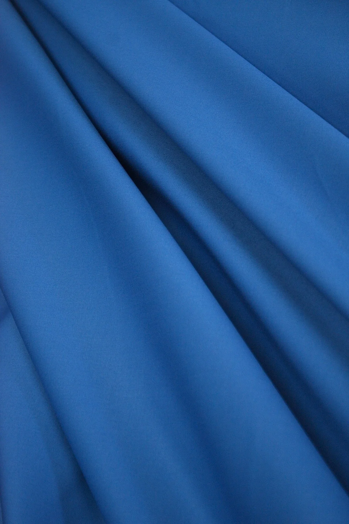 Blue Otter - Image 2