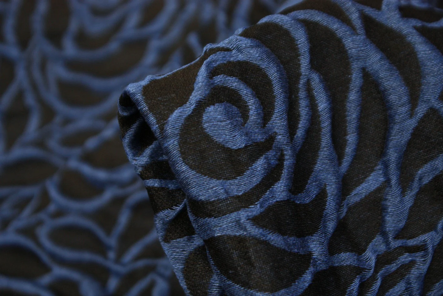Blue Roses
