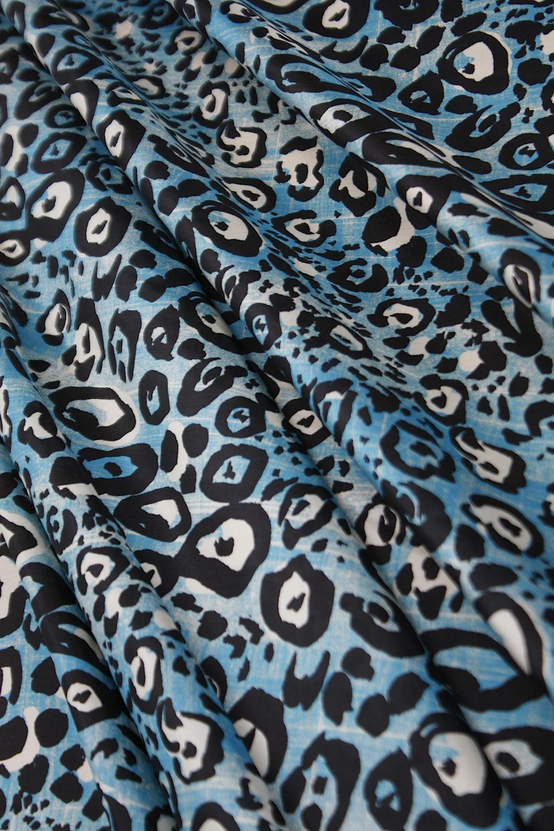 Blue The Cat - Image 2