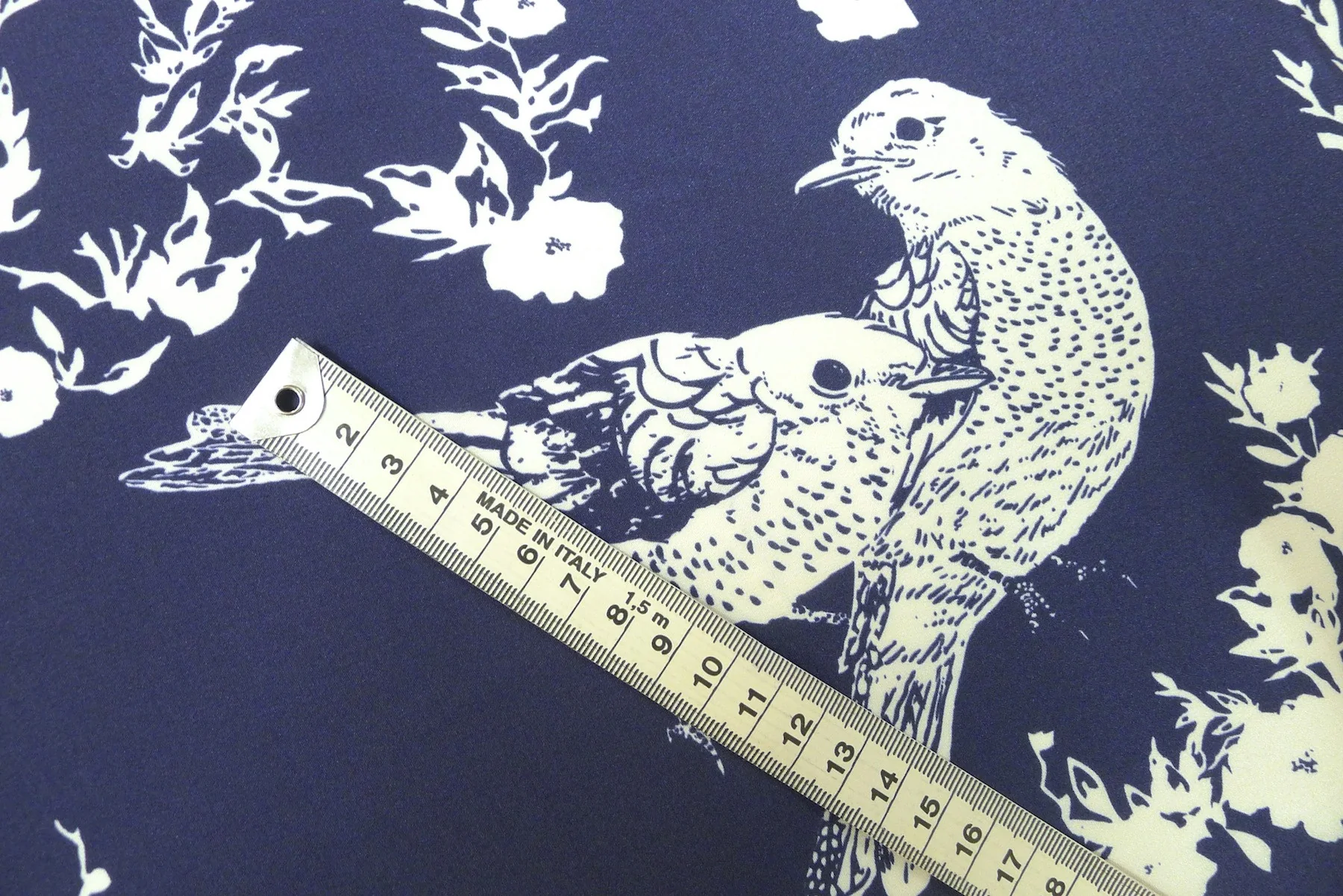 Bluebirds - Image 3