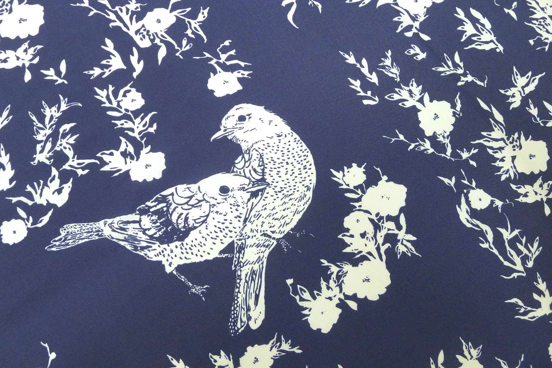 Bluebirds - Image 4