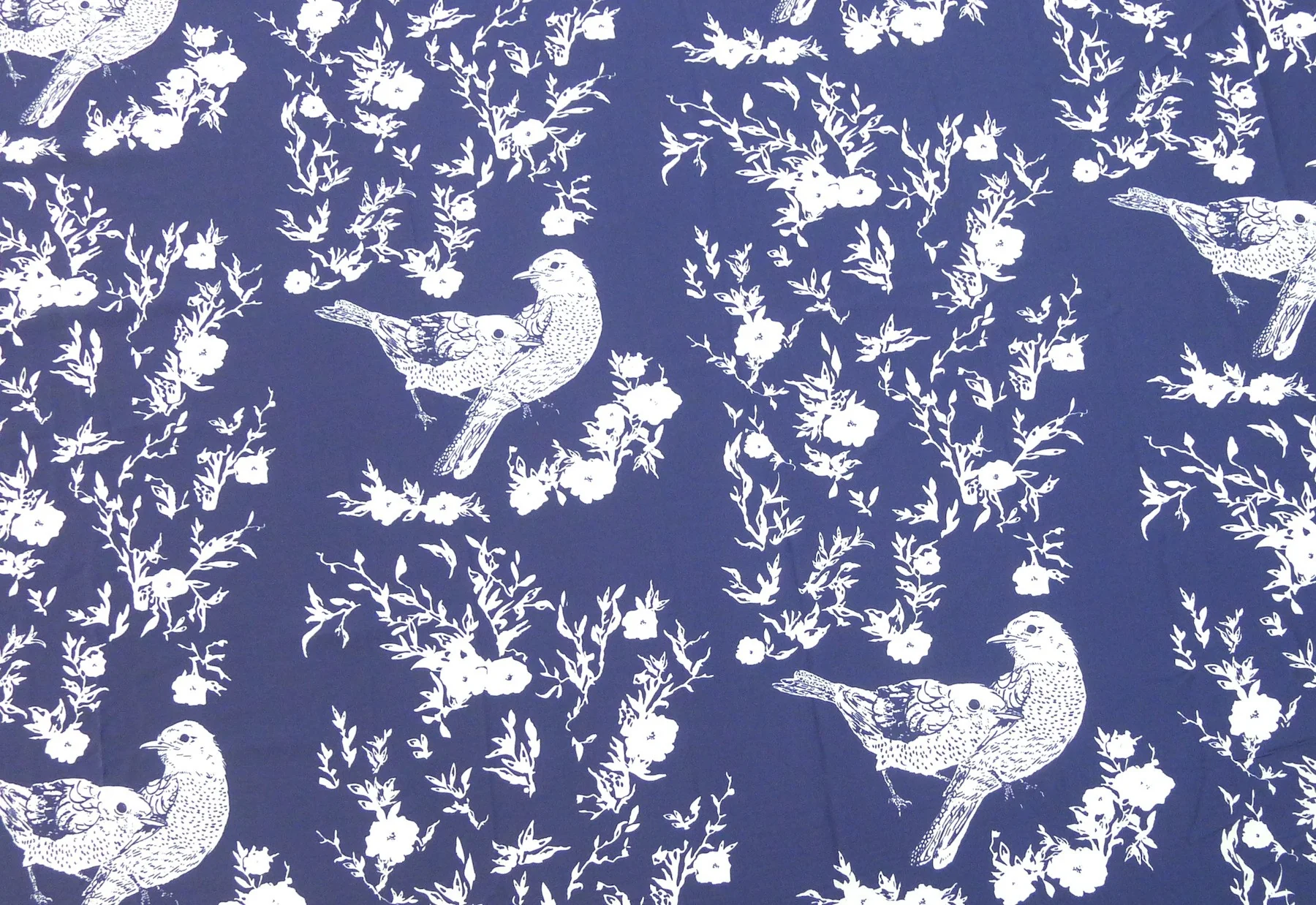 Bluebirds - Image 6