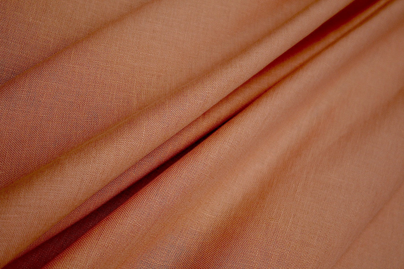 Blushing Lungo - Image 3