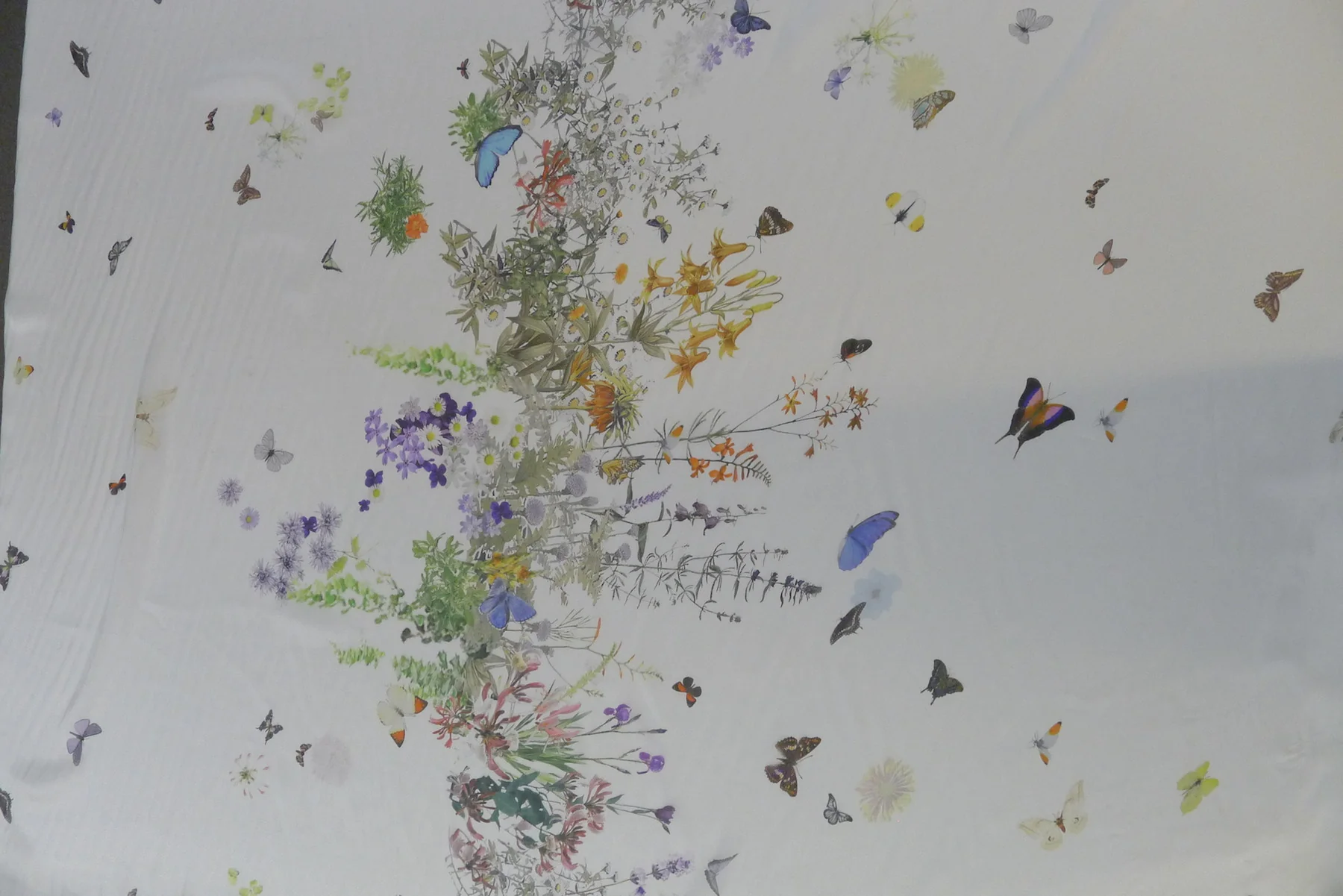 Butterfly Chiffon - Image 3