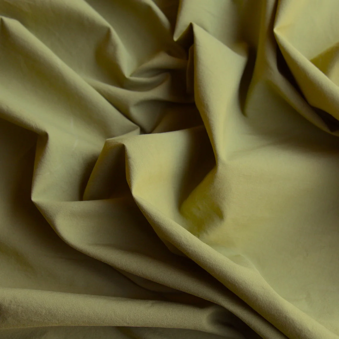 Calais Green Pea Cotton Poplin - Image 2