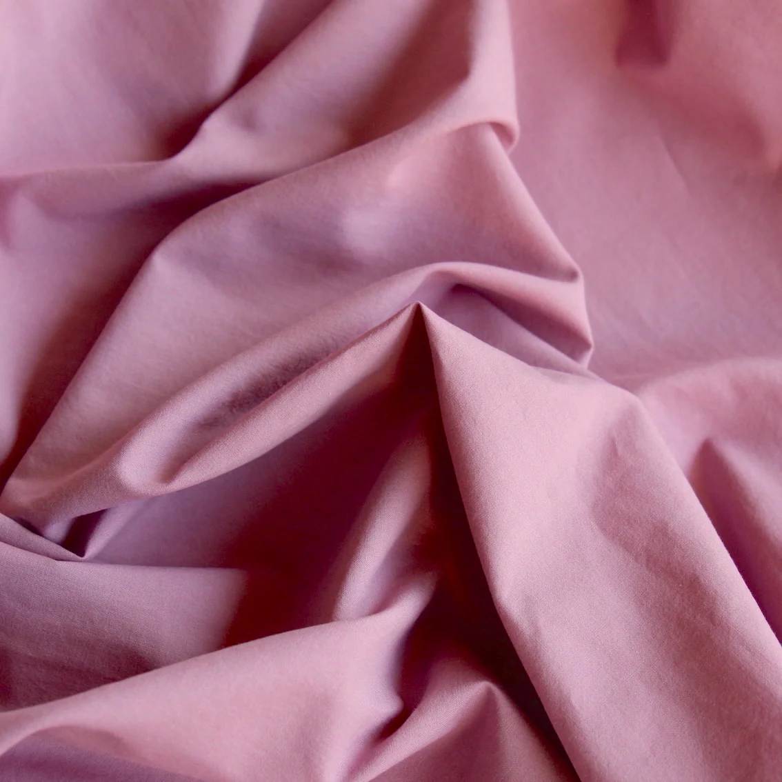 Calais Rose Cotton Poplin - Image 2
