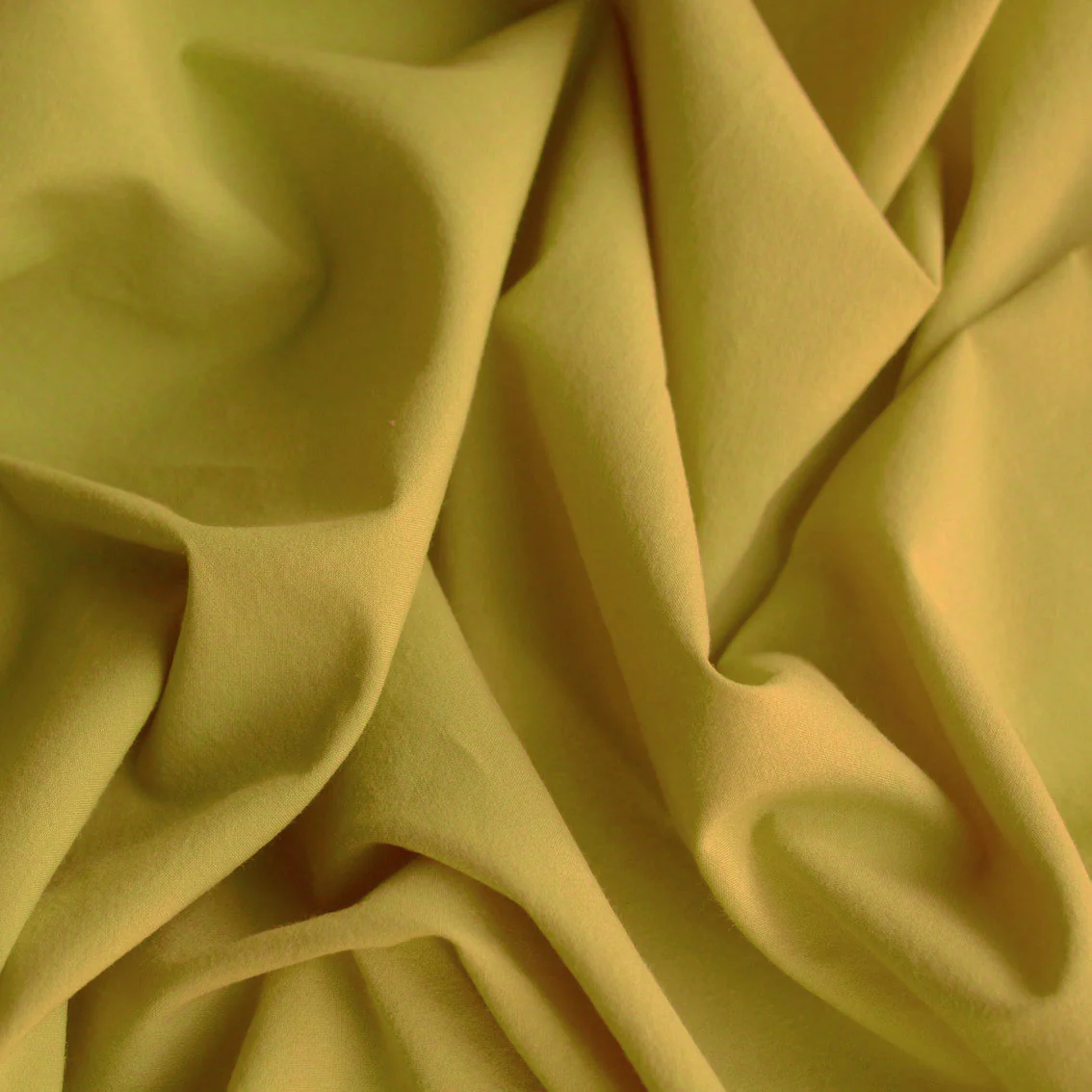Calais Yolk Cotton Poplin - Image 4