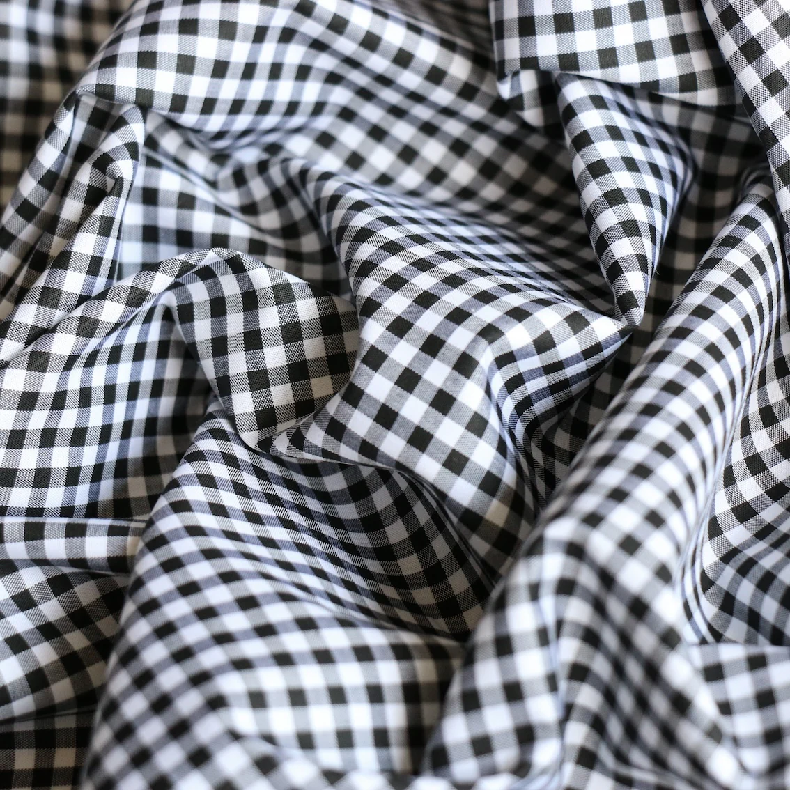 Campo Nero Gingham Check - Image 2