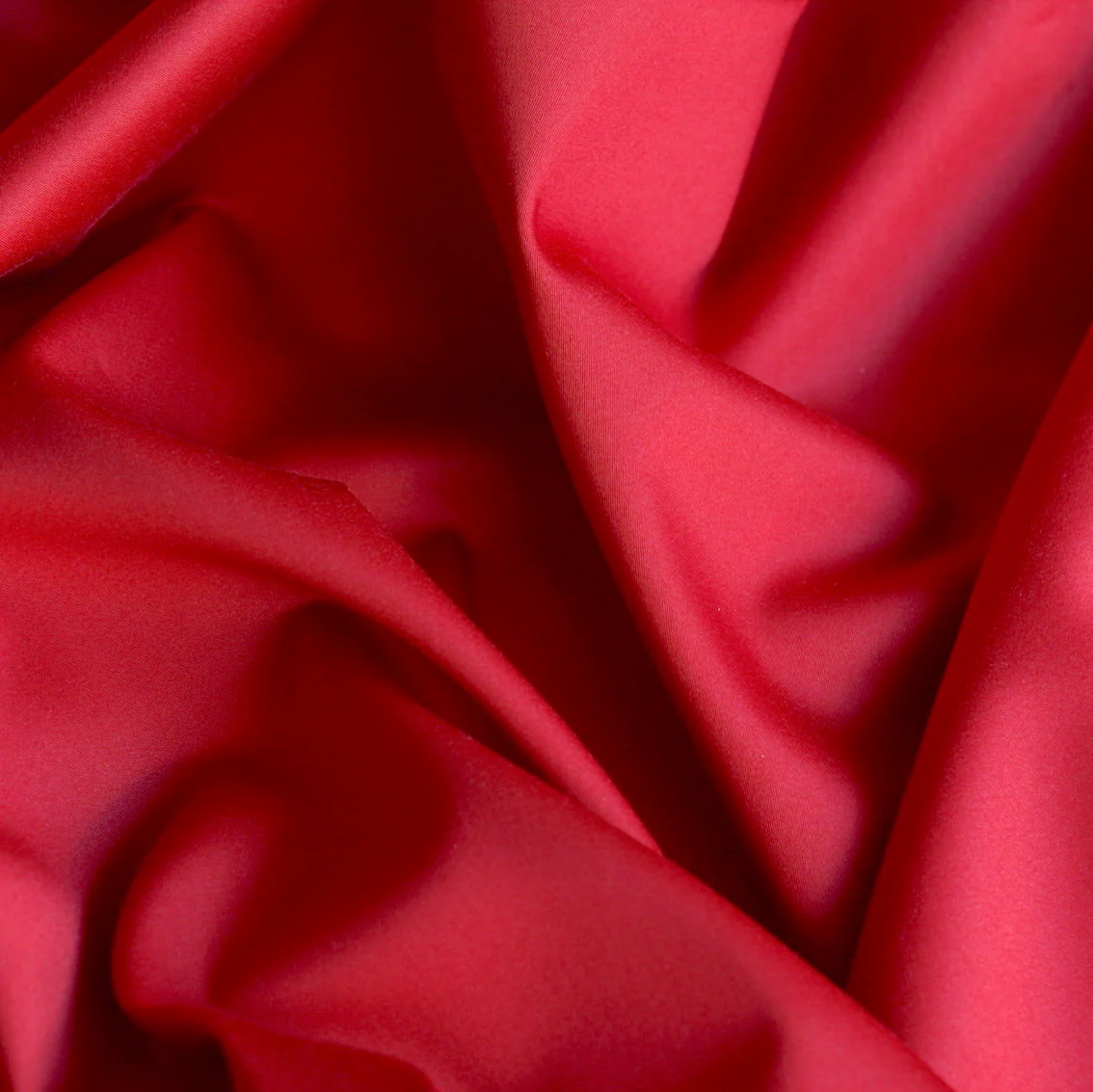 Cardinal Red - Image 2