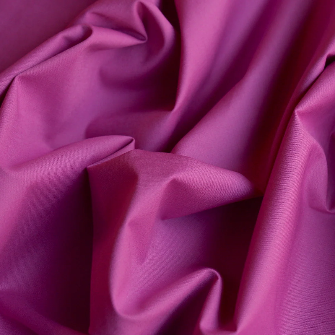 Carino Musk - Image 2