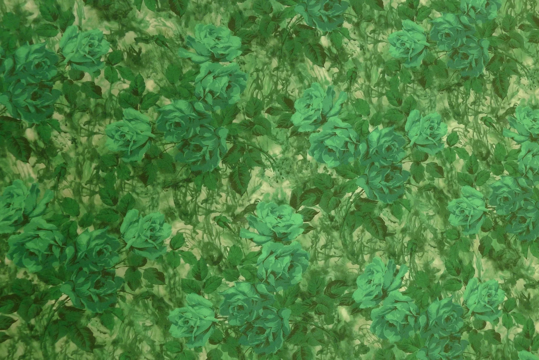 Carrie Green - Image 2