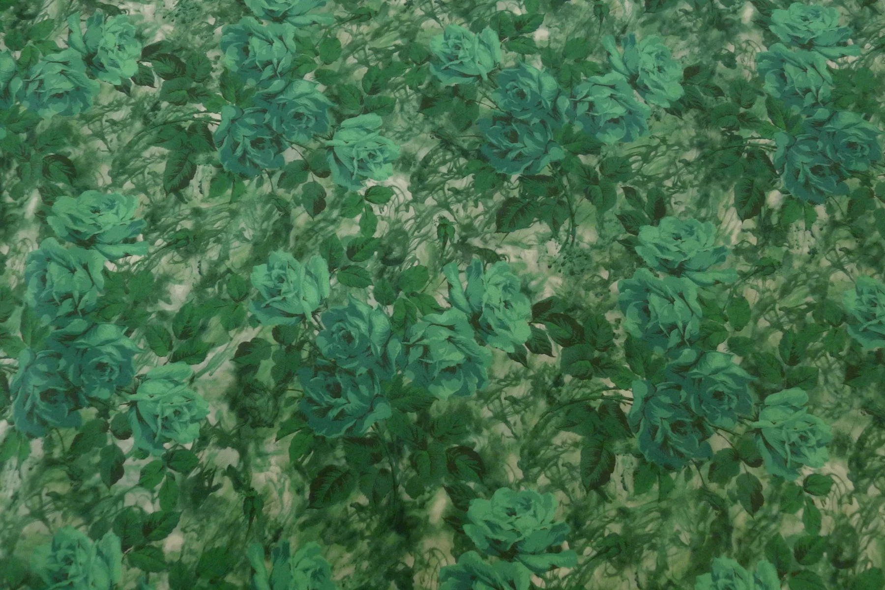 Carrie Green - Image 7