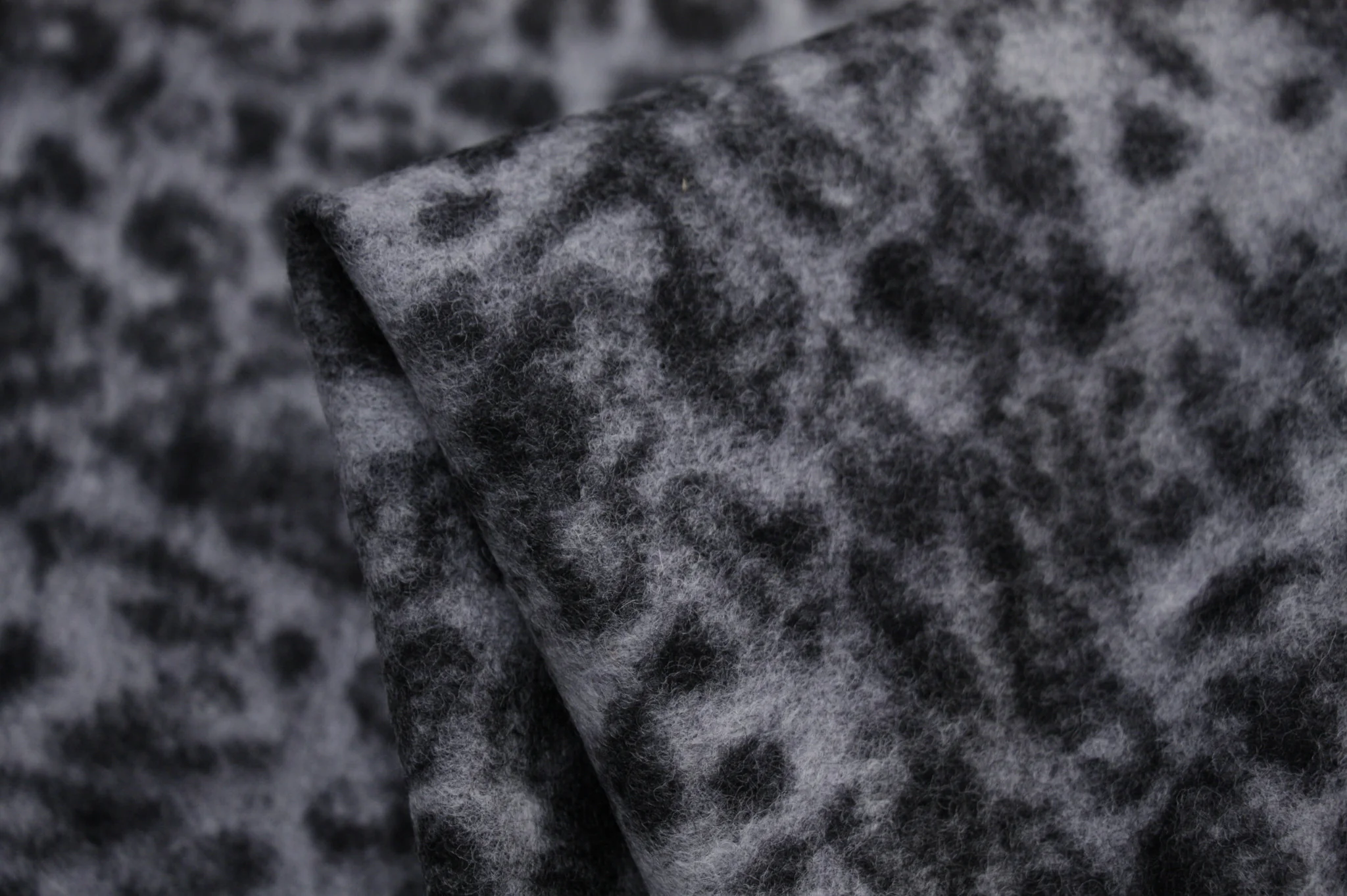 Cattus Grey