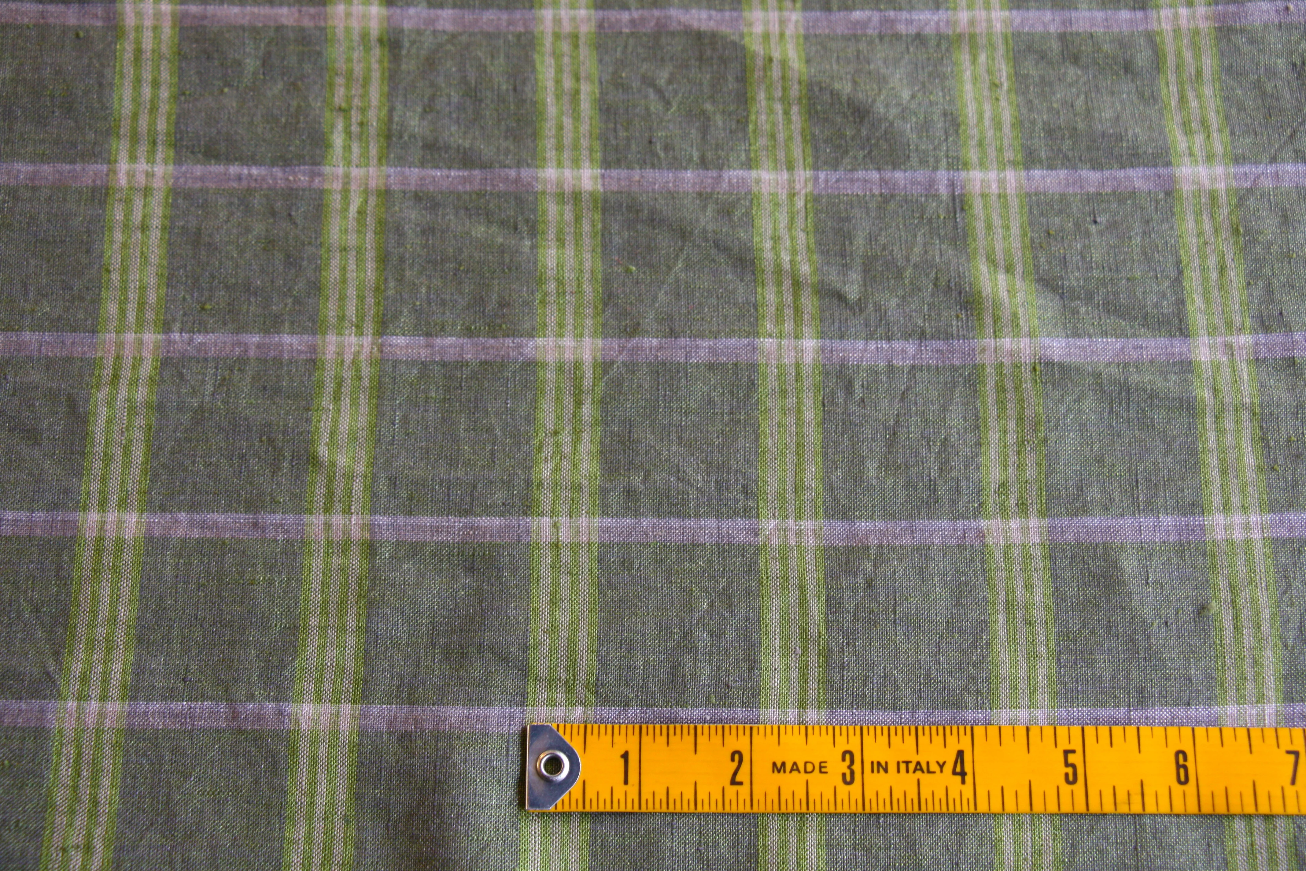 Checkered Kiwi - Image 2