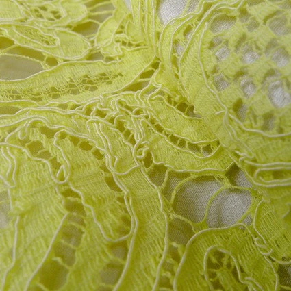 Citron Guipure Lace - Image 3
