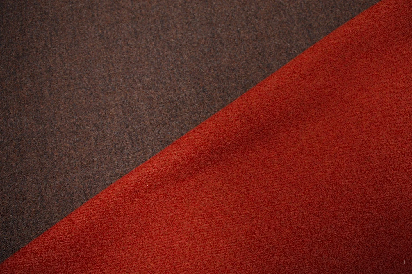 Coco Jaffa - Image 2